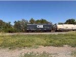 CSXT 499719